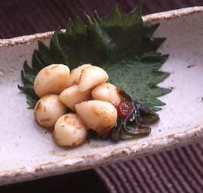 紀州梅にんにく