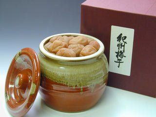 紀州うす塩梅「匠」焼壺入　６５０ｇ
