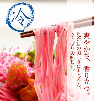 手延べ 紀州梅そうめん